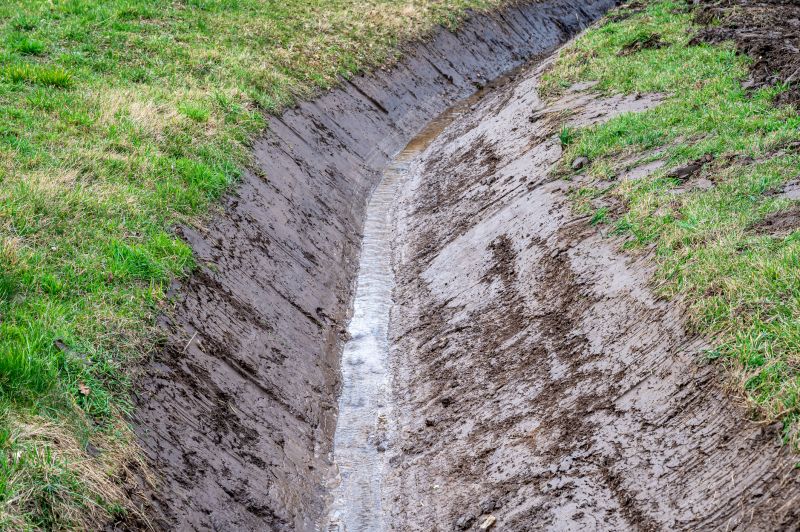 Property Line Clearing