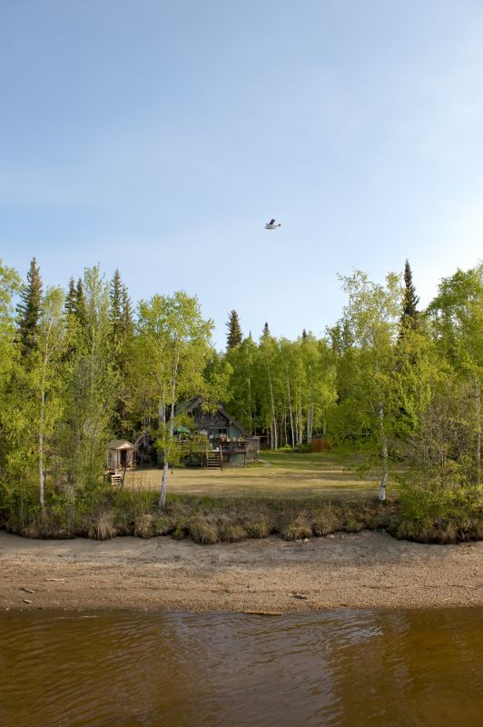 Products For Property Line Clearings in use