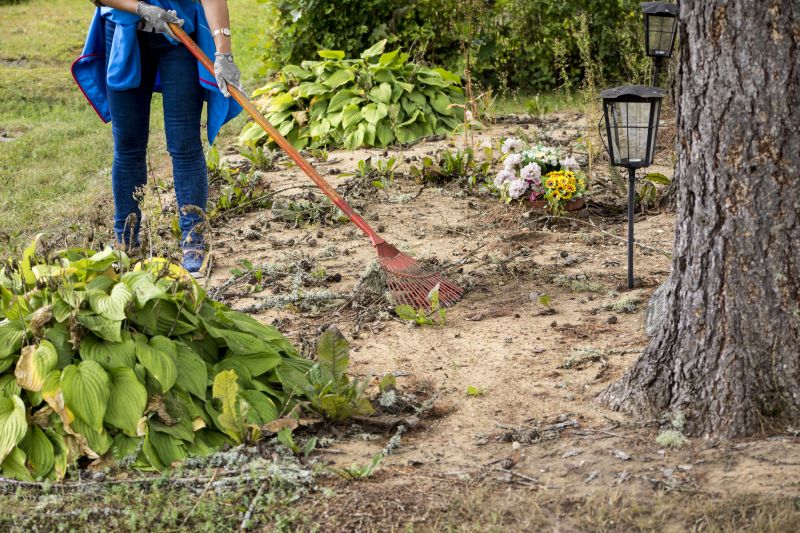 Property Line Clearing