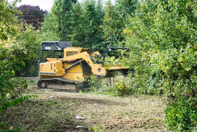Land Clearing Specialists